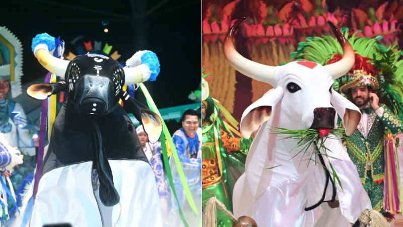 Festival de Parintins mostra que carnavais do Brasil ainda podem aprender muito a arte nortista